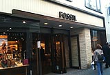Fossil Store