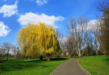 Freizeitpark Rheinaue