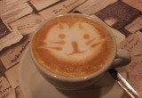 Café Barista Foto von 